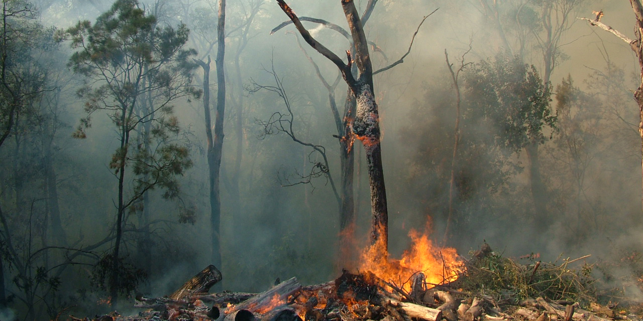 Climate change impacts on bushfires