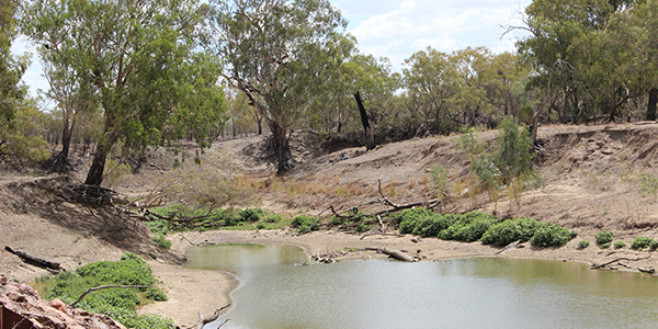 Drought landscape showing a low water level river in the middle with trees on both sides