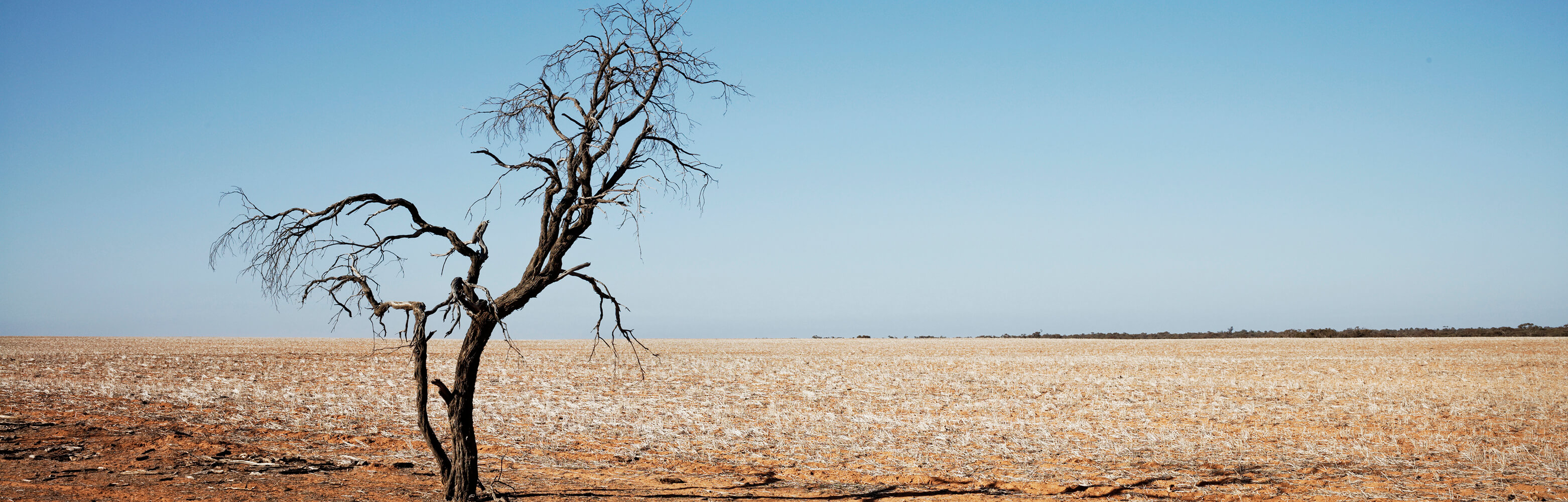 Climate Change Impacts On Drought | AdaptNSW