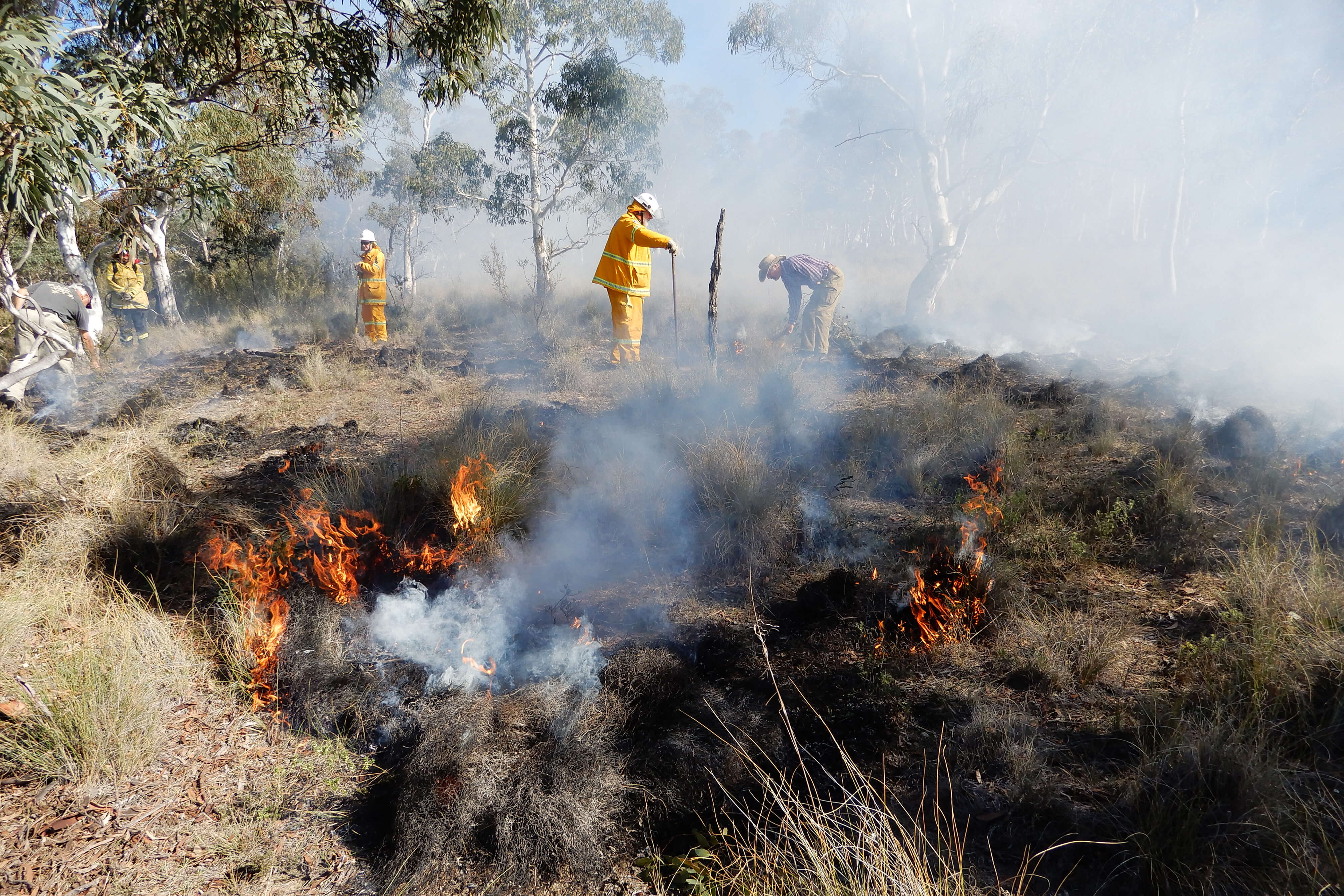 cool climate burn being conducted by National parks staff and traditional owners