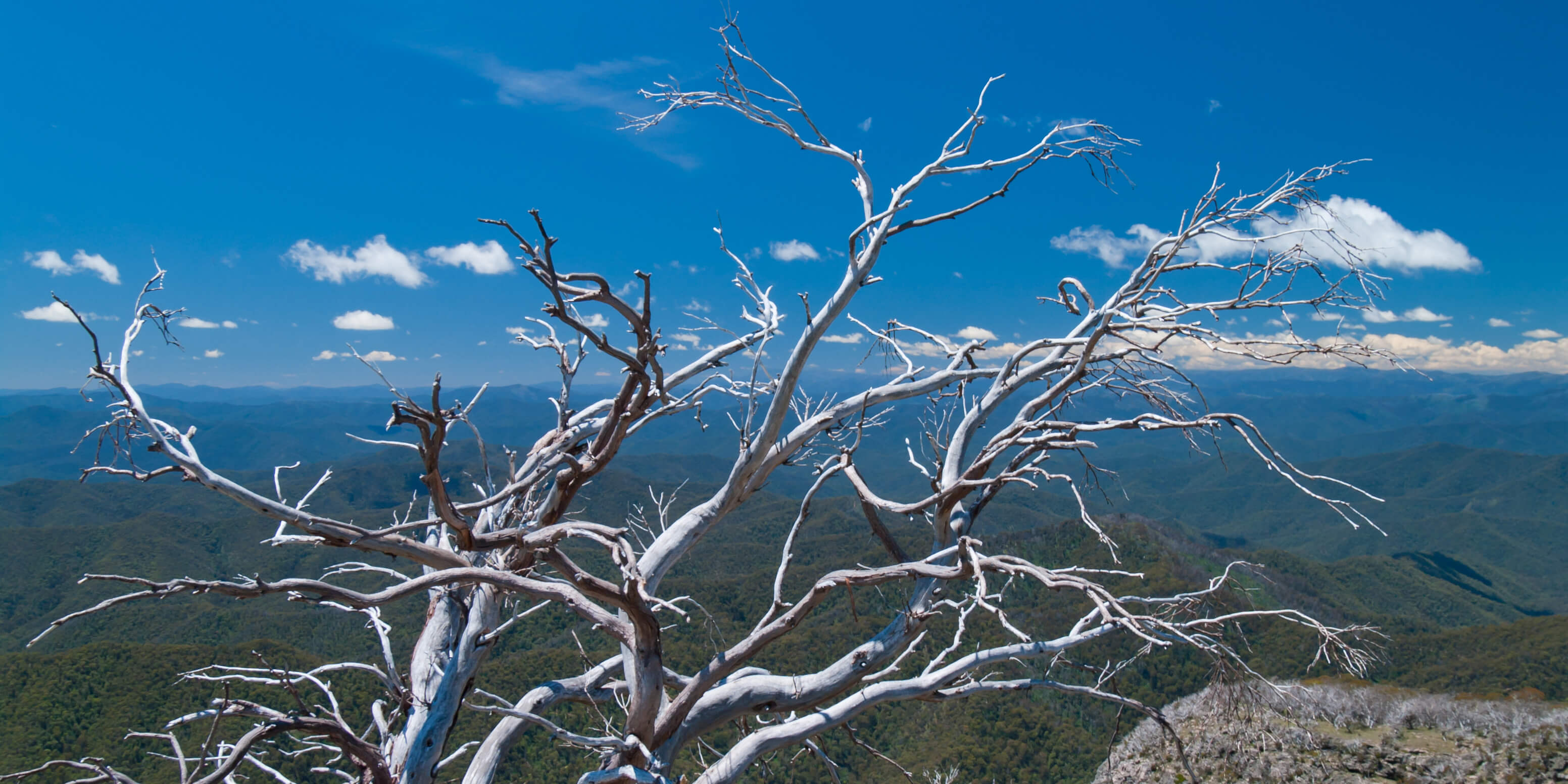 Australian Climate Change Observations AdaptNSW