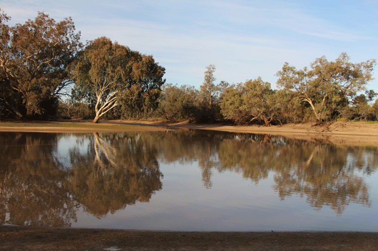 Paroo River, Nocoleche Nature Reserve 