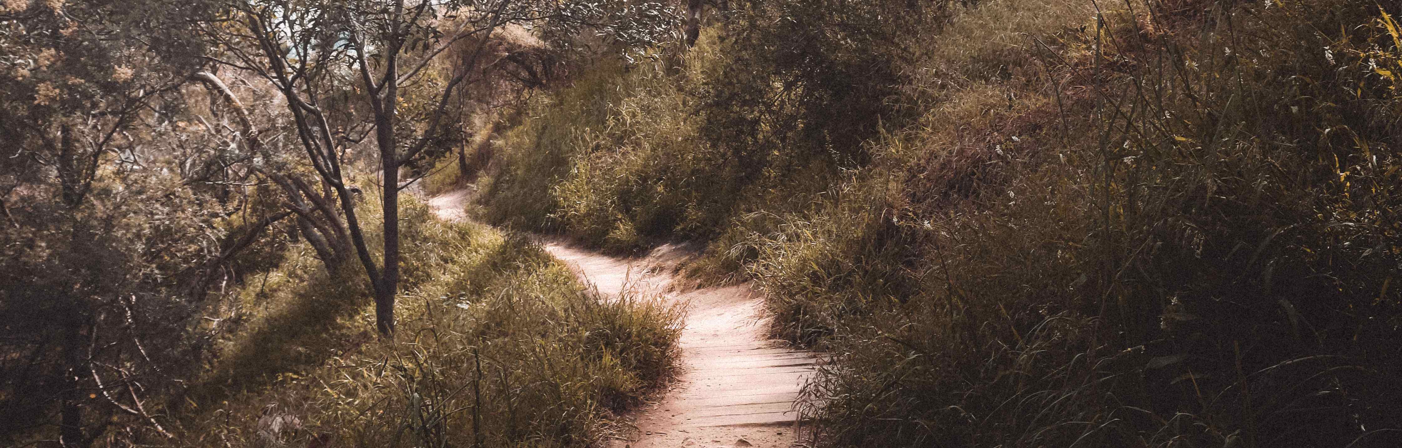 A winding path through the landscape 