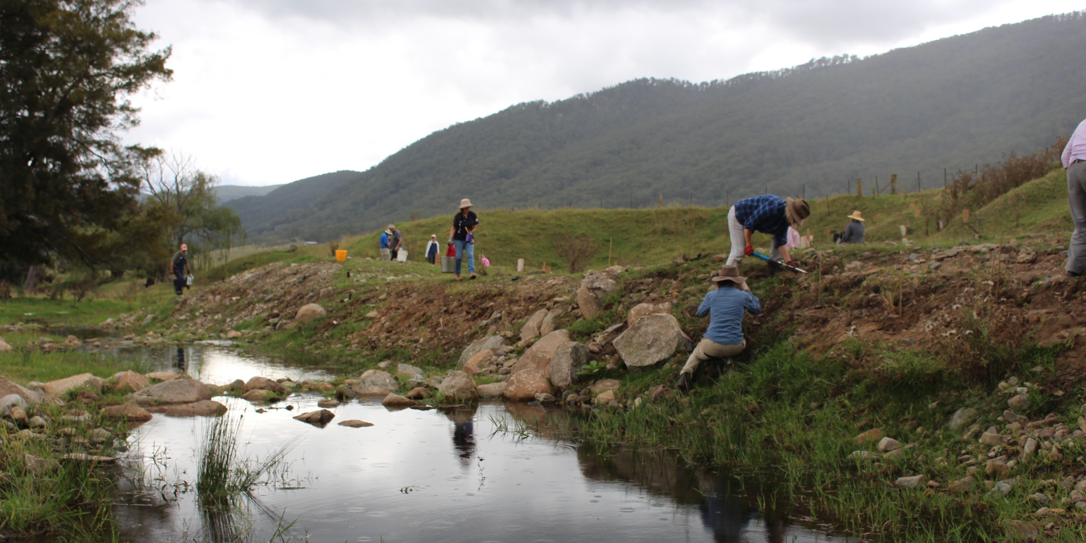 Landcare volunteers planting along upper Deua catchment