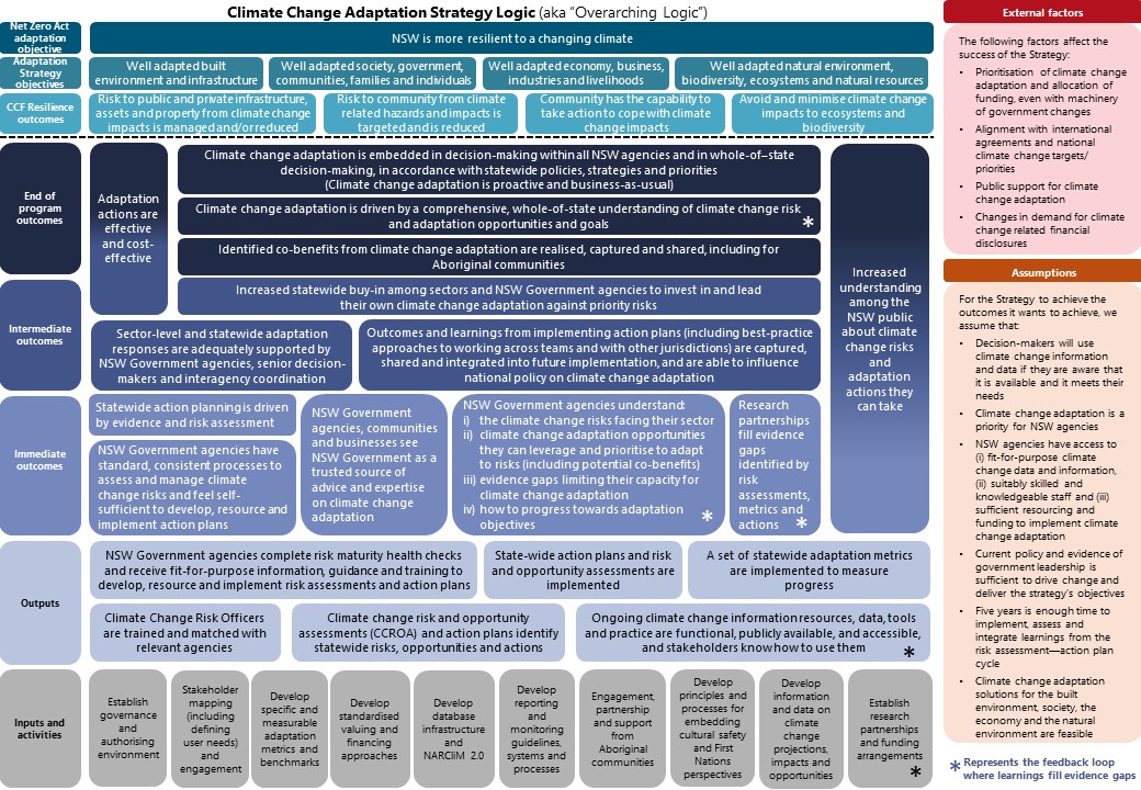 Table showing Adaptation Strategy program logic