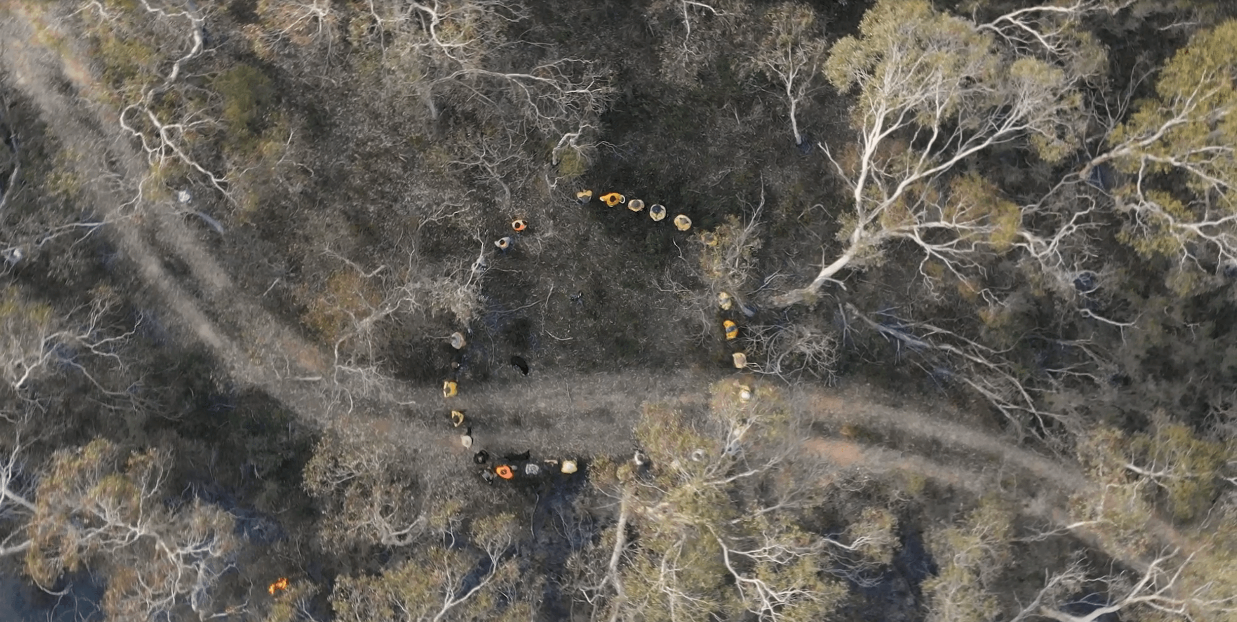 Aerial view of forest with people standing in circle